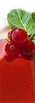 COOKING MIXER COOKING MIXER